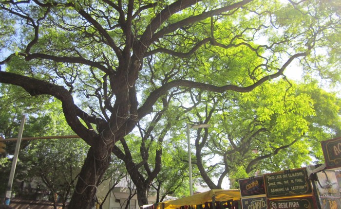 The Last Days of Summer, Buenos Aires